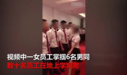 调教视频免费,视频教程助你掌握宠物训练技巧